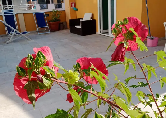 La Casa Gialla Apartment *