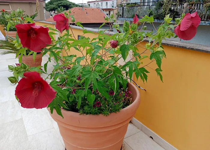 La Casa Gialla * Laigueglia